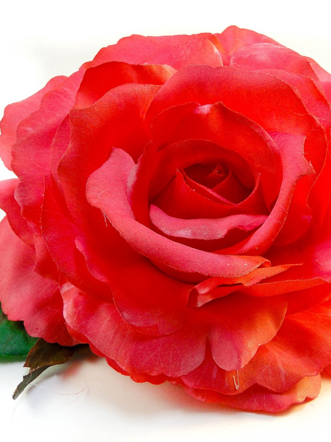 Rosa roja